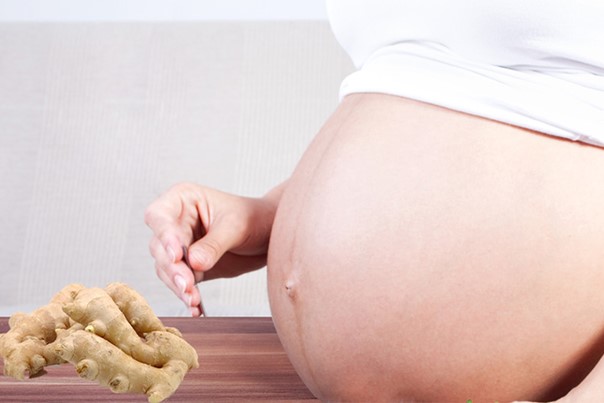 مصرف زنجبیل در بارداری