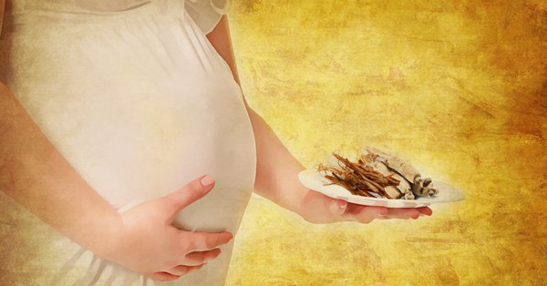 مصرف جینسینگ در دوران بارداری