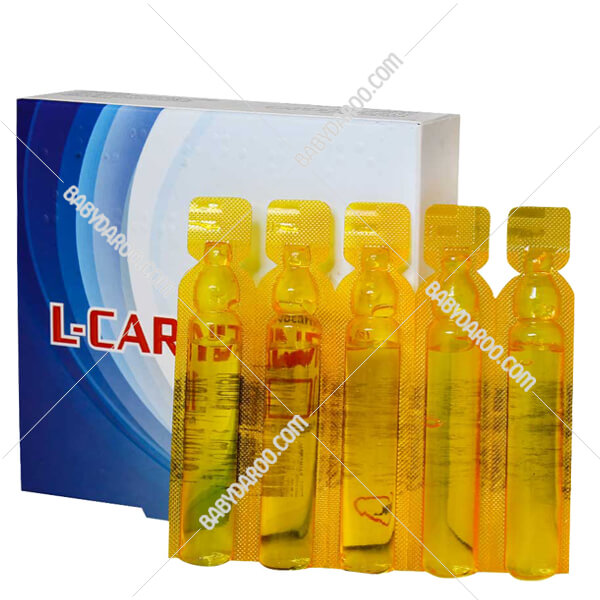 l carnitine               