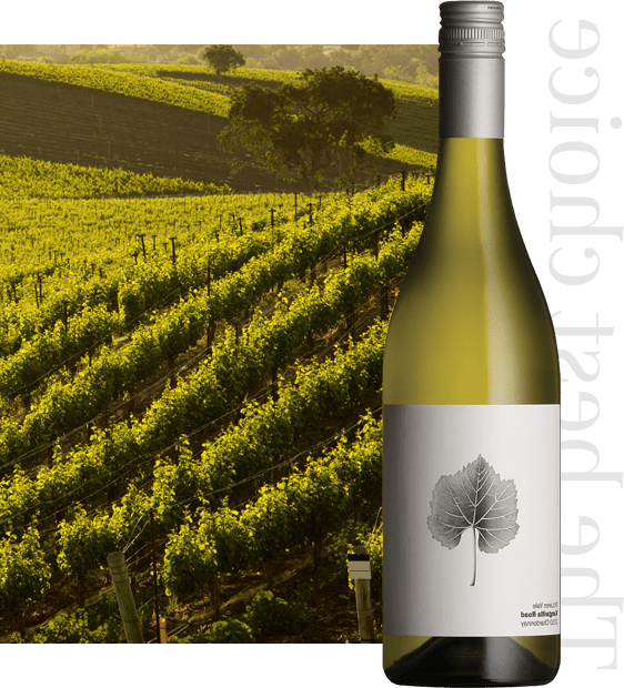 wine-menu-right-img-min-1 wine-menu-right-img-min-1